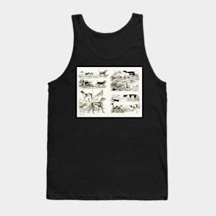 Old English Dog Breeds Tank Top